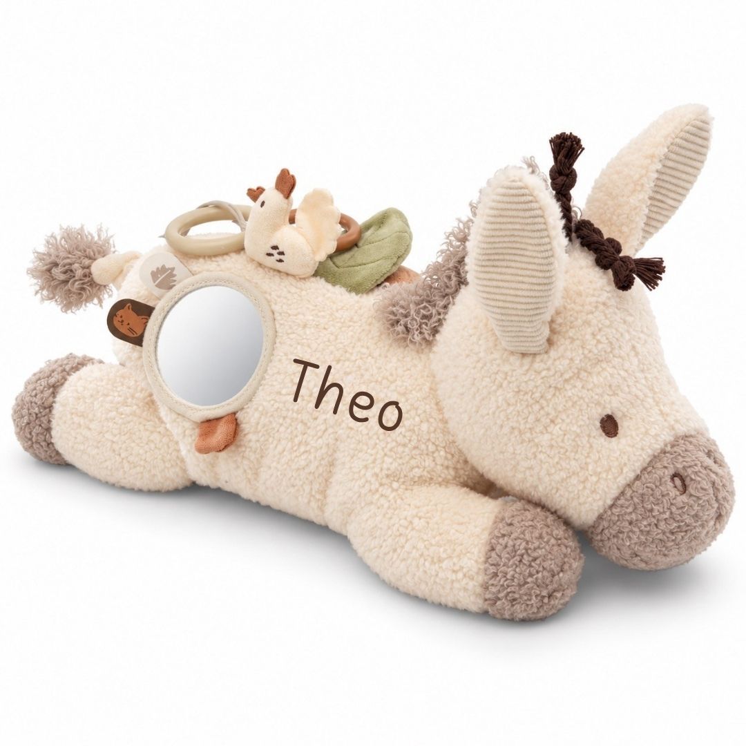 JOLLEIN Aktivitäten-Kuscheltier personalisiert - Esel - wunderwunsch
