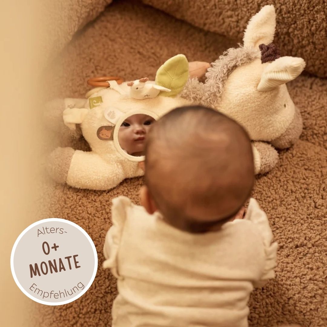 JOLLEIN Aktivitäten-Kuscheltier personalisiert - Esel - wunderwunsch