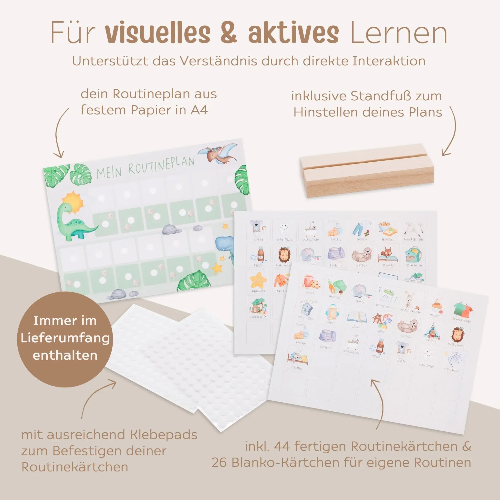 Routineplan "Dinos" - wunderwunsch
