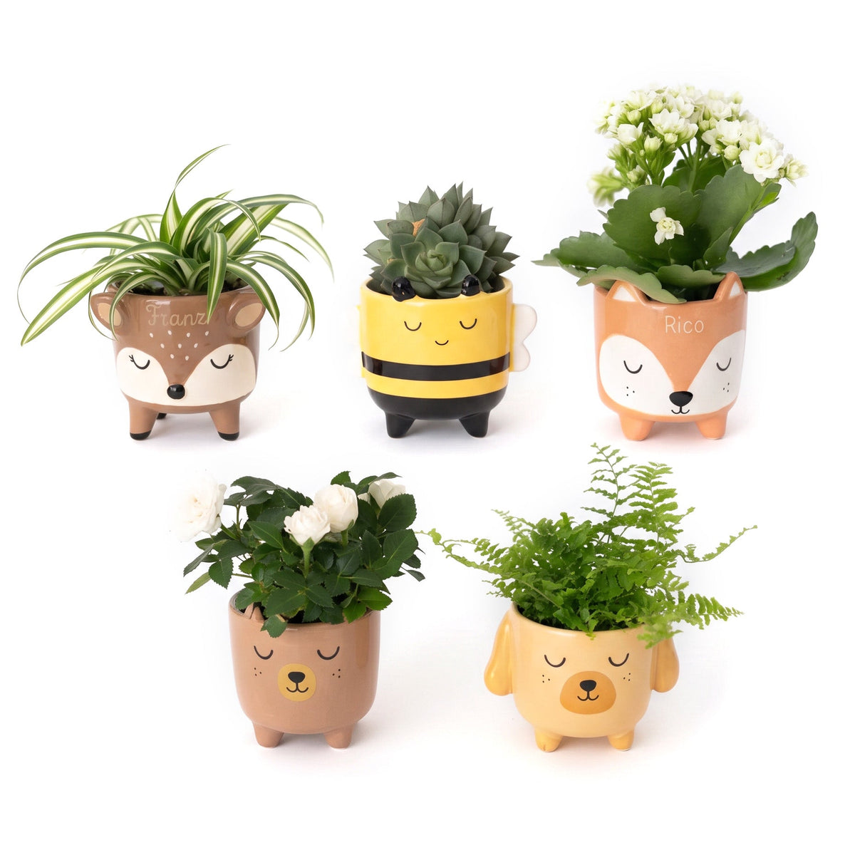 SASSANDBELLE - Kleiner Blumentopf Tier personalisiert - wunderwunsch