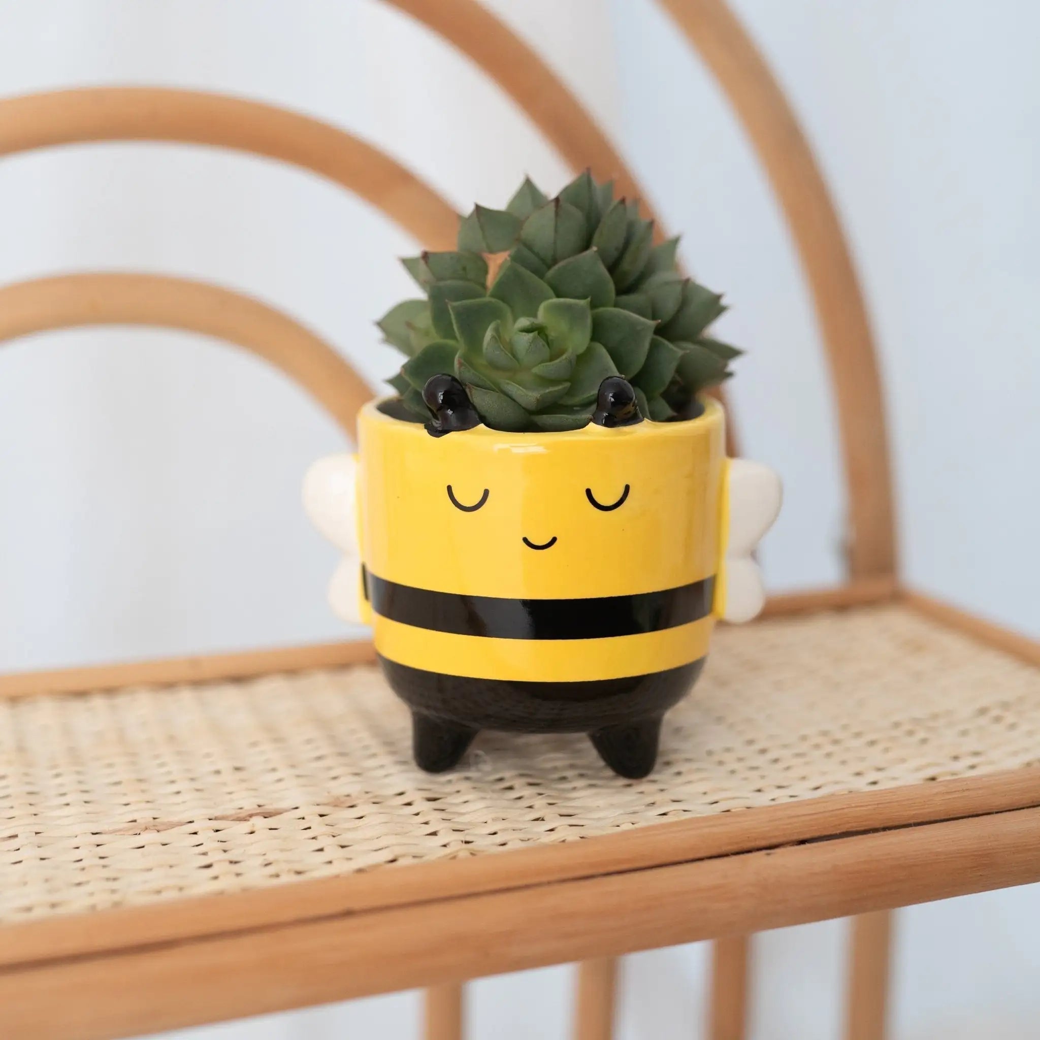 SASSANDBELLE - Kleiner Blumentopf Tier personalisiert - wunderwunsch