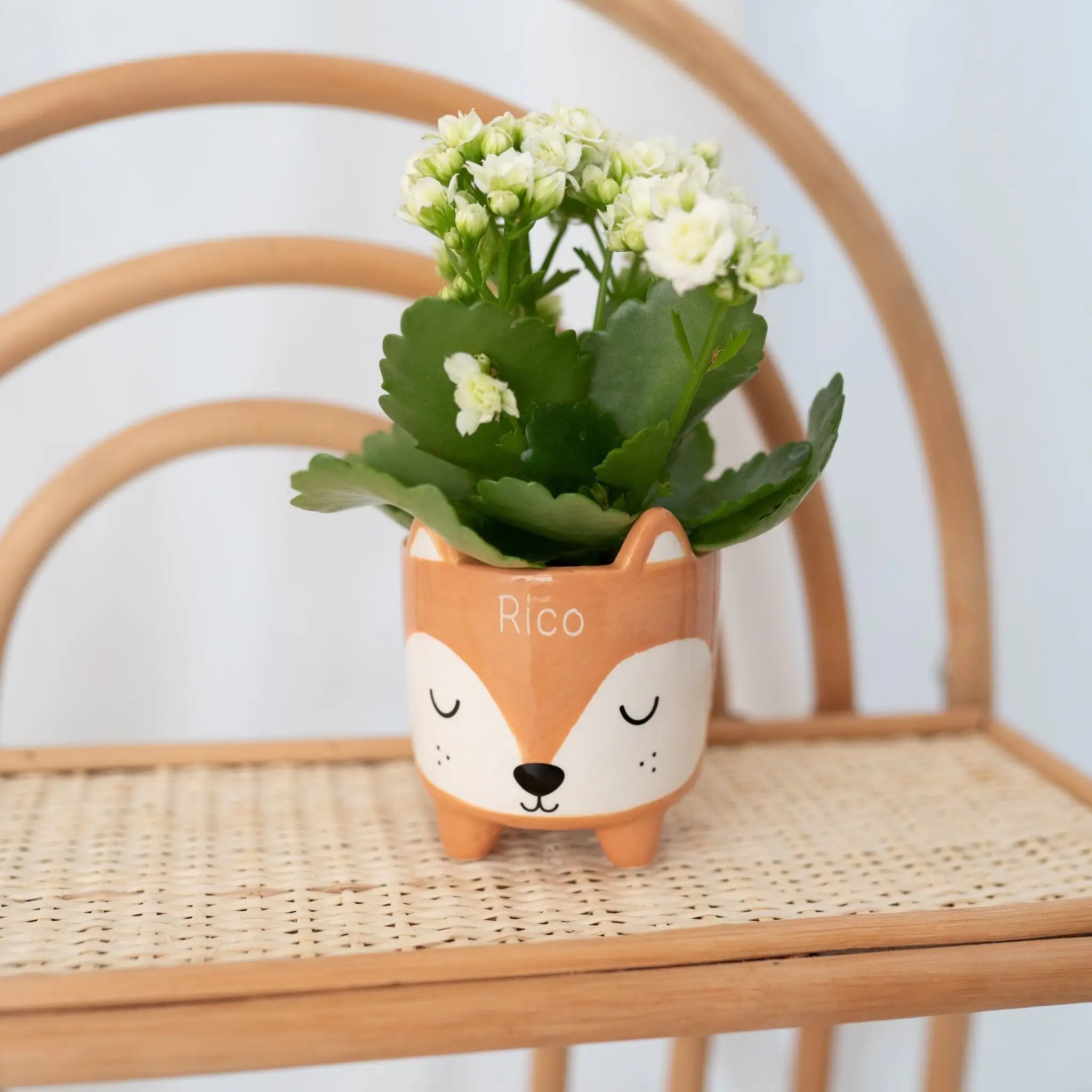 SASSANDBELLE - Kleiner Blumentopf Tier personalisiert - wunderwunsch