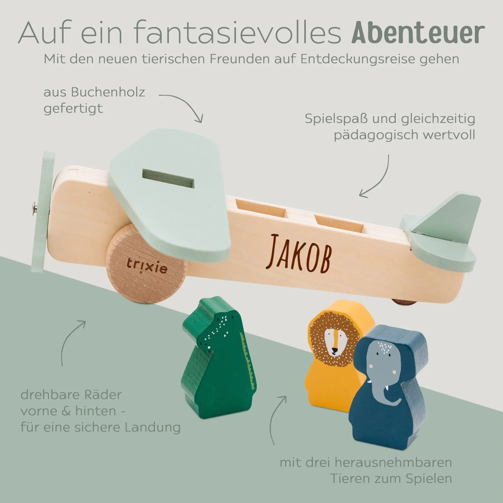 TRIXIE Flugzeug Holz personalisierbar - wunderwunsch